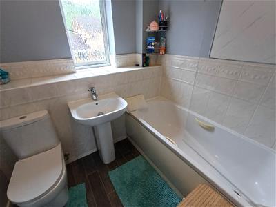 Picture 5